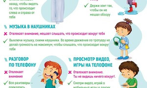 Безопасность на дороге и в сети: прокачали важные навыки в ЭМТ
